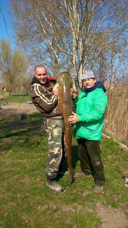 Zsiga László 34-kg os harcsa